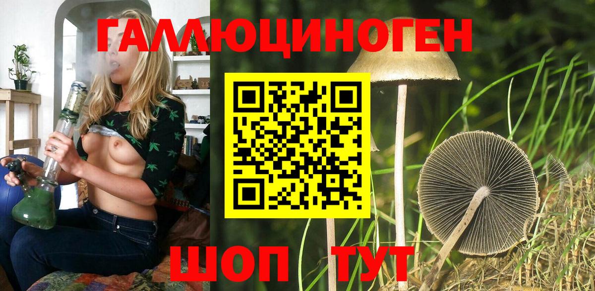 Псилоцибиновые грибы мицелий Городец