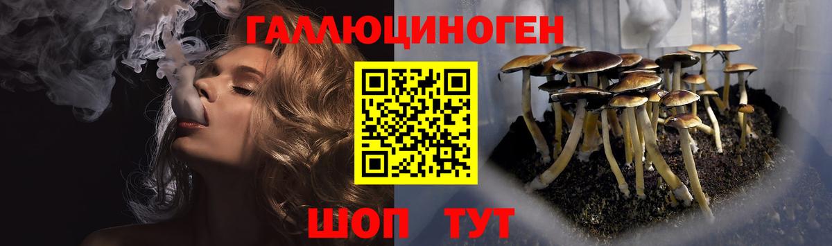 Городец  Псилоцибиновые грибы мухоморы  Галлюциногенные грибы Psilocybine cubensis  что такое наркотик  Вход с VPN 